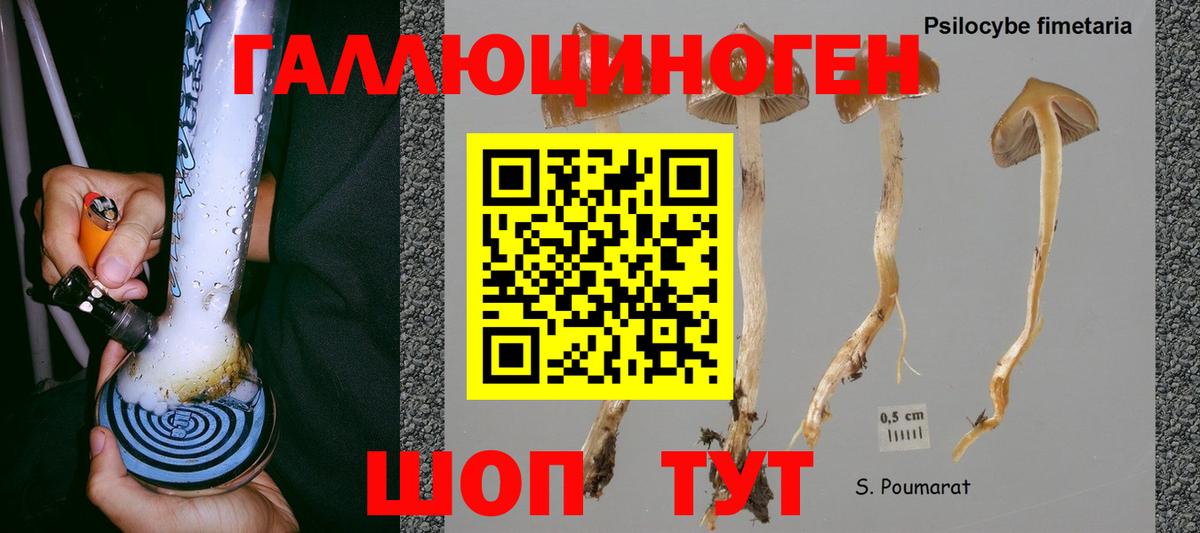 Галлюциногенные грибы MAGIC MUSHROOMS  Вход с VPN  где найти   Россошь 